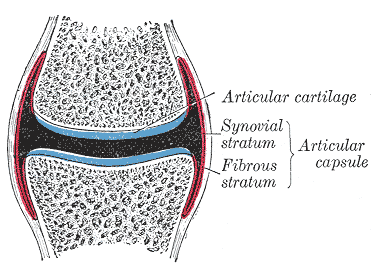 Capsulitis FEATURE