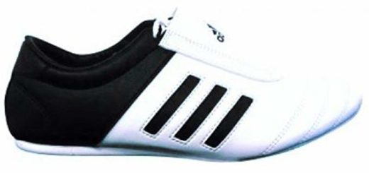 a kickboxing shoe