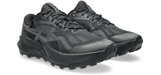 ASICS Men's Trabuco 14 GTX Running Shoes