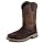 Irish Setter Marshall 11