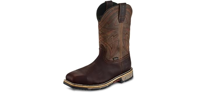 Irish Setter Marshall 11