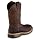 Irish Setter Marshall 11