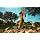Merrell mens Moab 3 Hiking Shoe