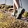 Salewa mens MS Mountain Trainer Mid Gore-TEX High Rise Hiking Shoes